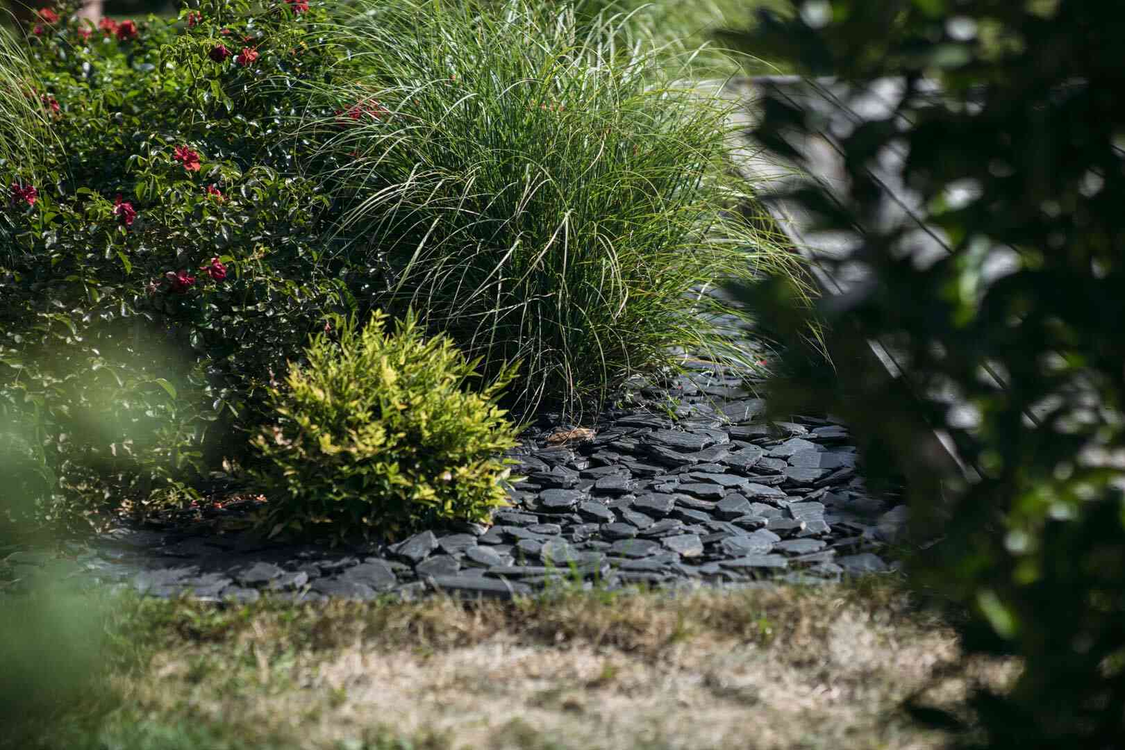 Aménagements extérieurs et jardins dans l'Ain et le Jura