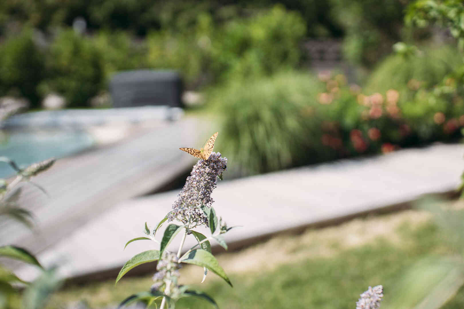 Aménagements extérieurs et jardins dans l'Ain et le Jura