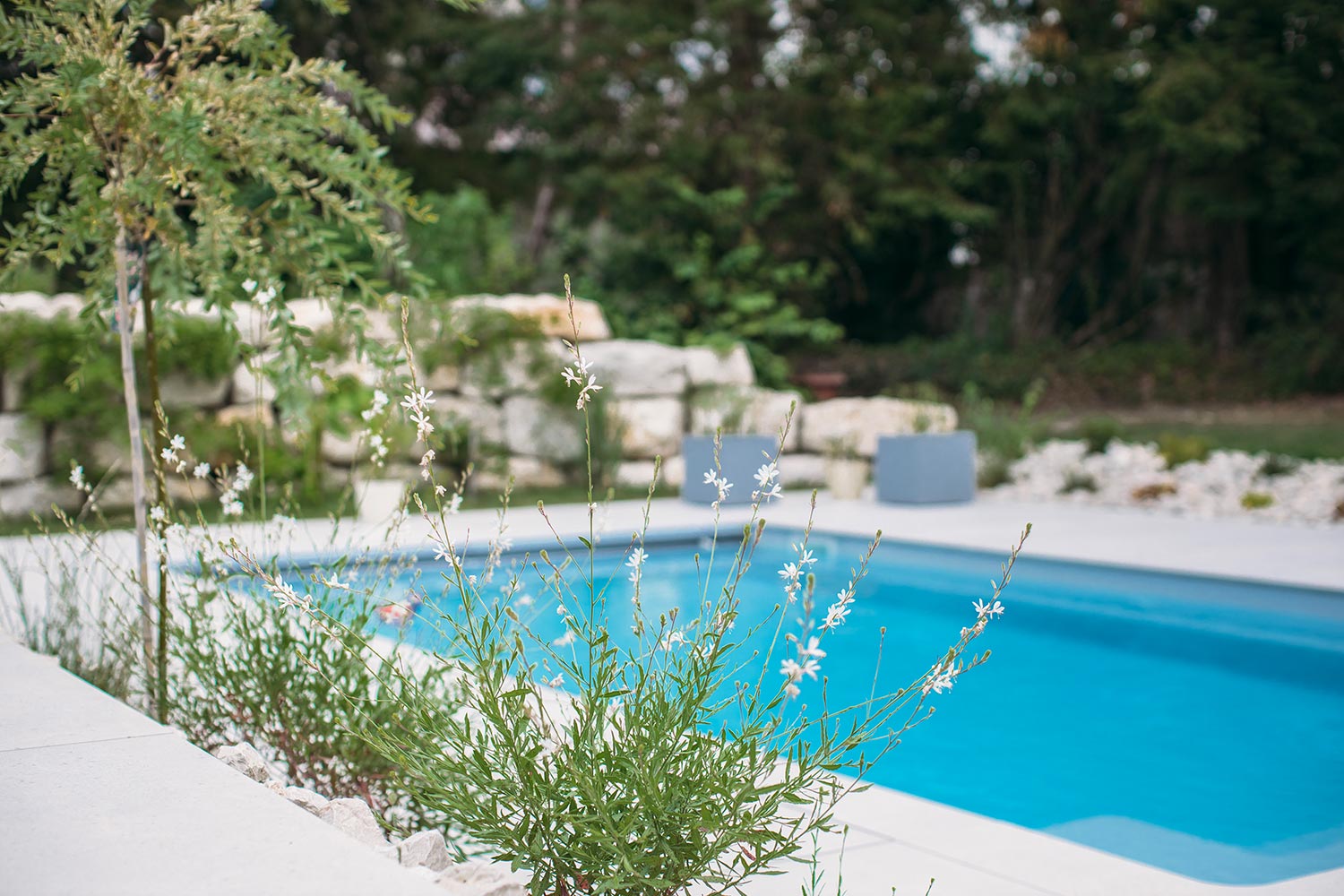 Aménagement paysage et piscine